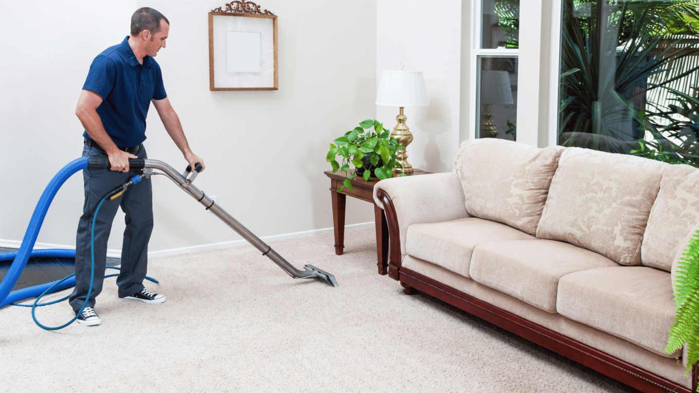 types of carpet damage